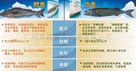 鳕鱼售价一般在每斤80元,银鳕鱼的大概一斤以上,而油鱼一般不