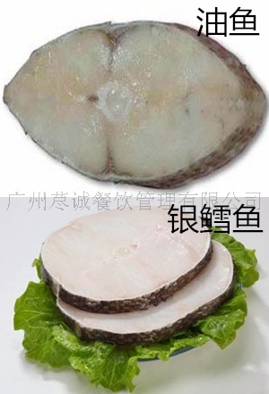 详解鳕鱼和油鱼的区别 how to distinguish cod
